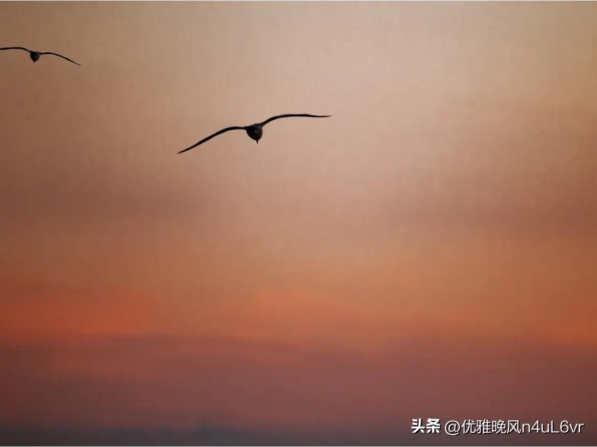 快来看看我新换的主页背景吧