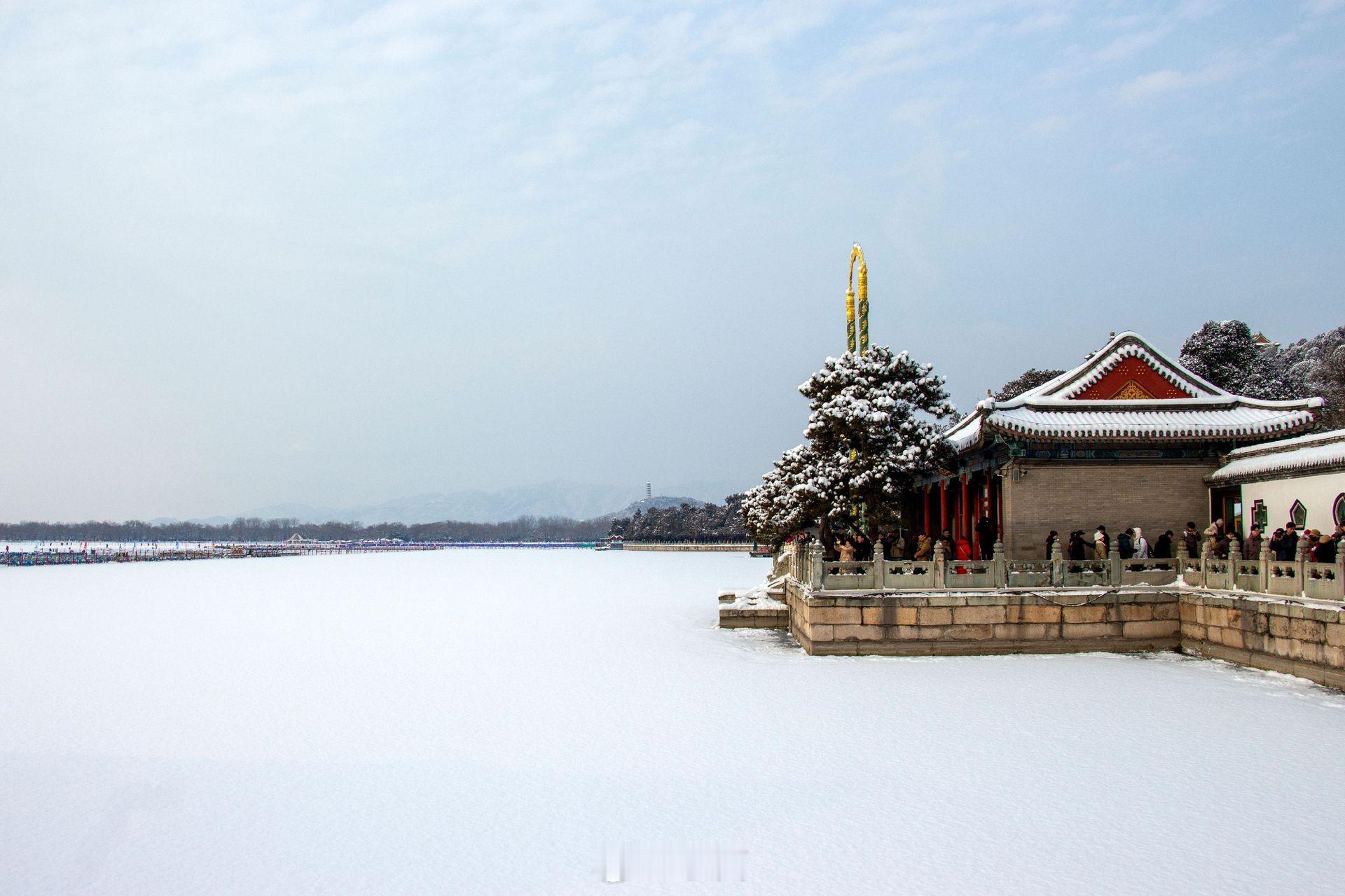 小菌 北国风光，千里冰封，万里雪飘 