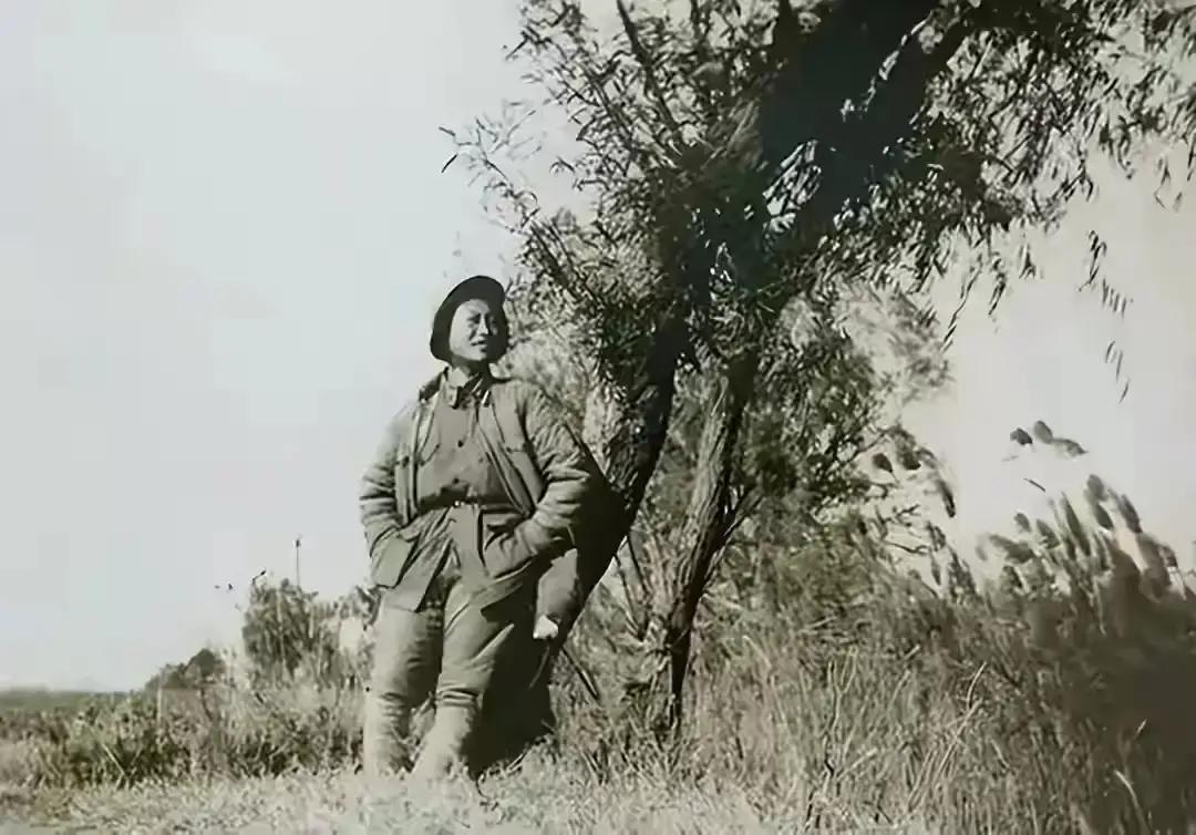 1943年春，被俘虏的国民党特务张强被押了进来，他一眼扫过屋子，突然伸手指着林晚