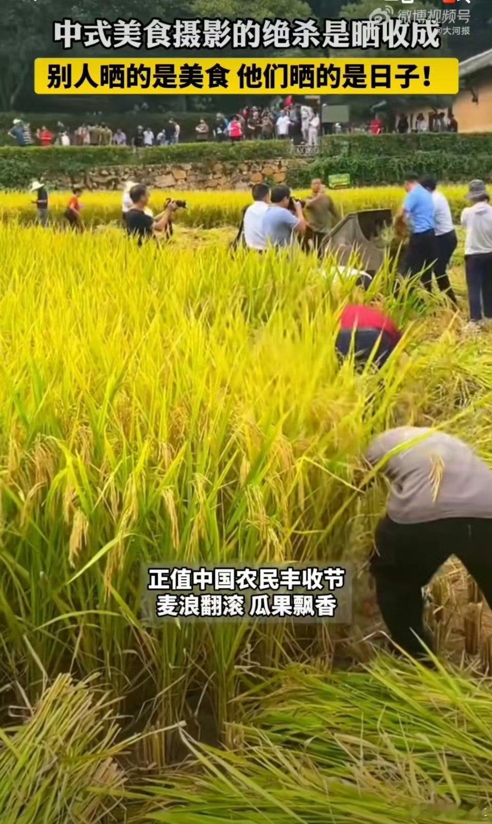 没有精致摆盘，没有眼花缭乱的运镜，热乎的土鸡蛋、带泥的小青菜都是土地的馈赠，在这