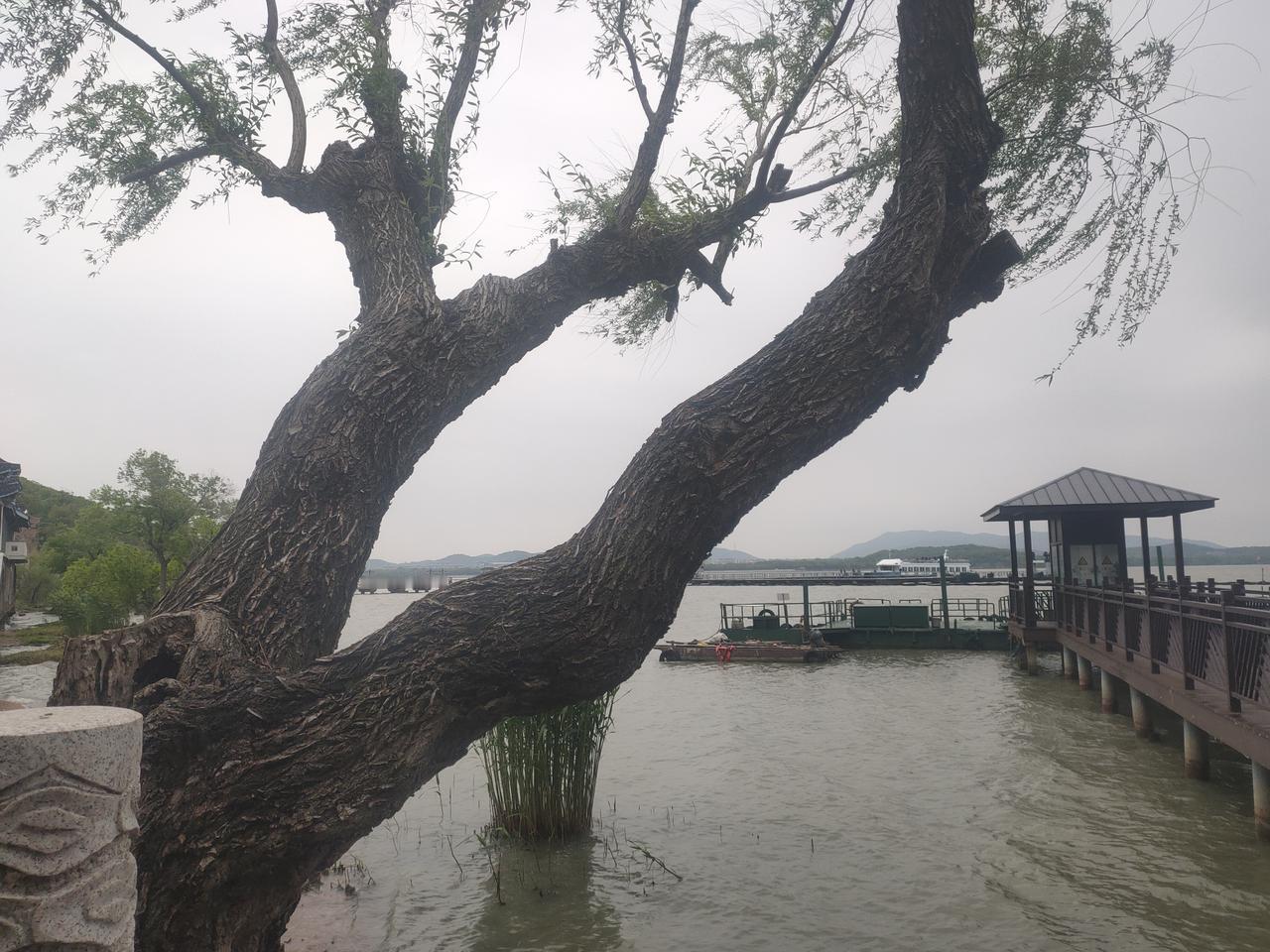 侬好上海呀
今天来到美丽的江苏无锡市，无锡今天的天气有点小雨和大风，我来到美丽的