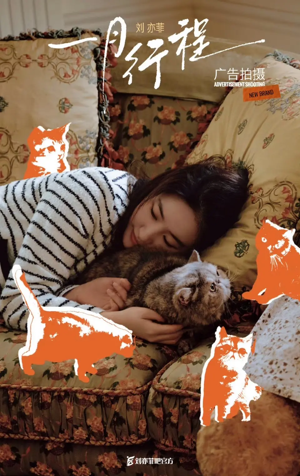刘亦菲两个新代言待官宣～期待。