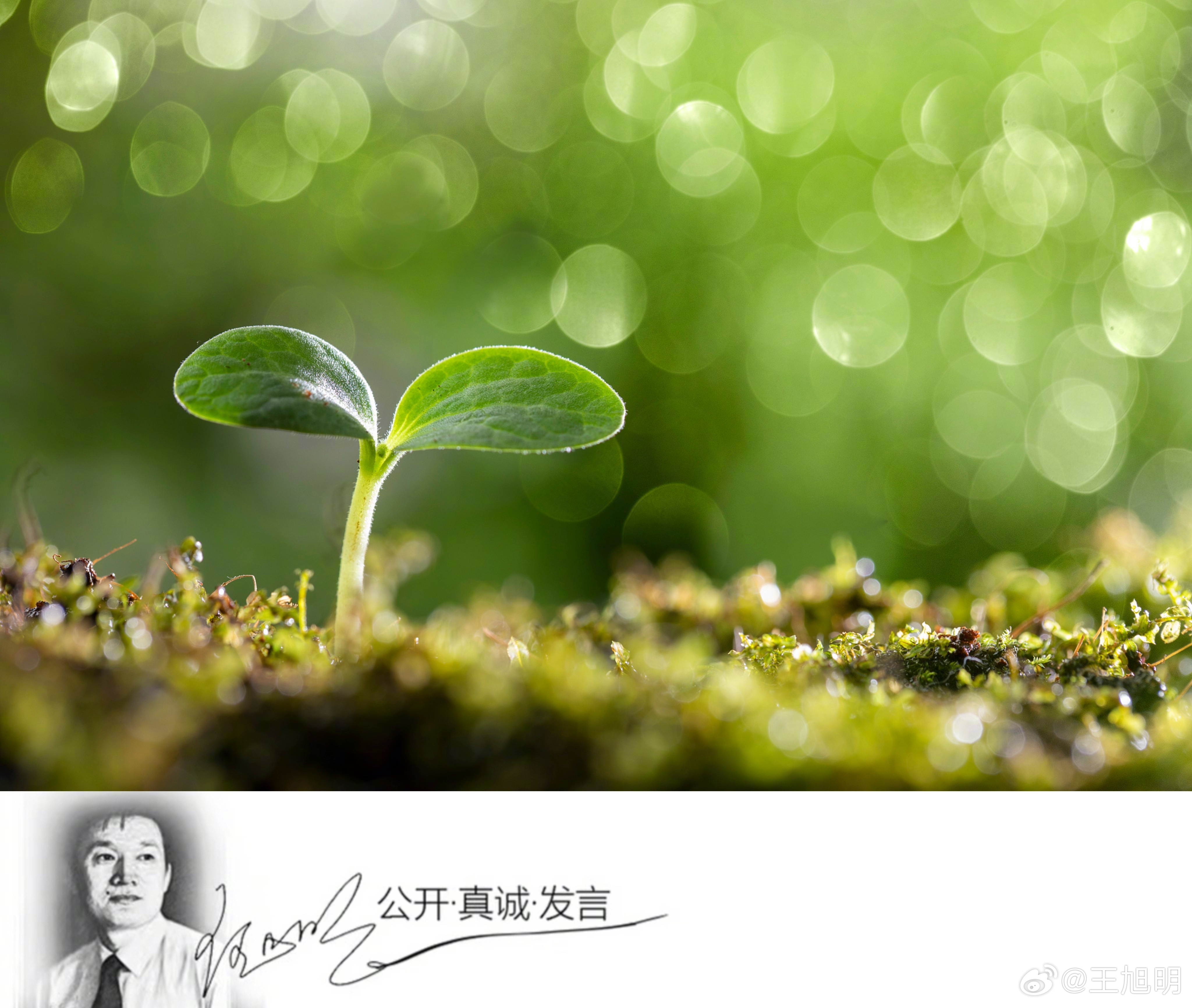 #明纪实#主持一个教育论坛，其间一位大约与我年龄相仿者要发言，我婉言谢绝说，按照