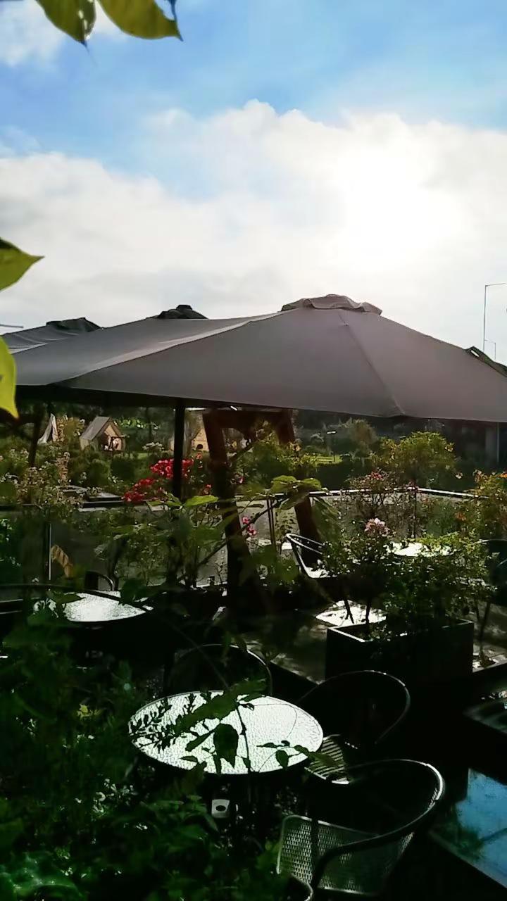 不知不觉已经过去快半月了，今天第14天了，昨晚睡得非常早，今早5点自然醒，颈椎好