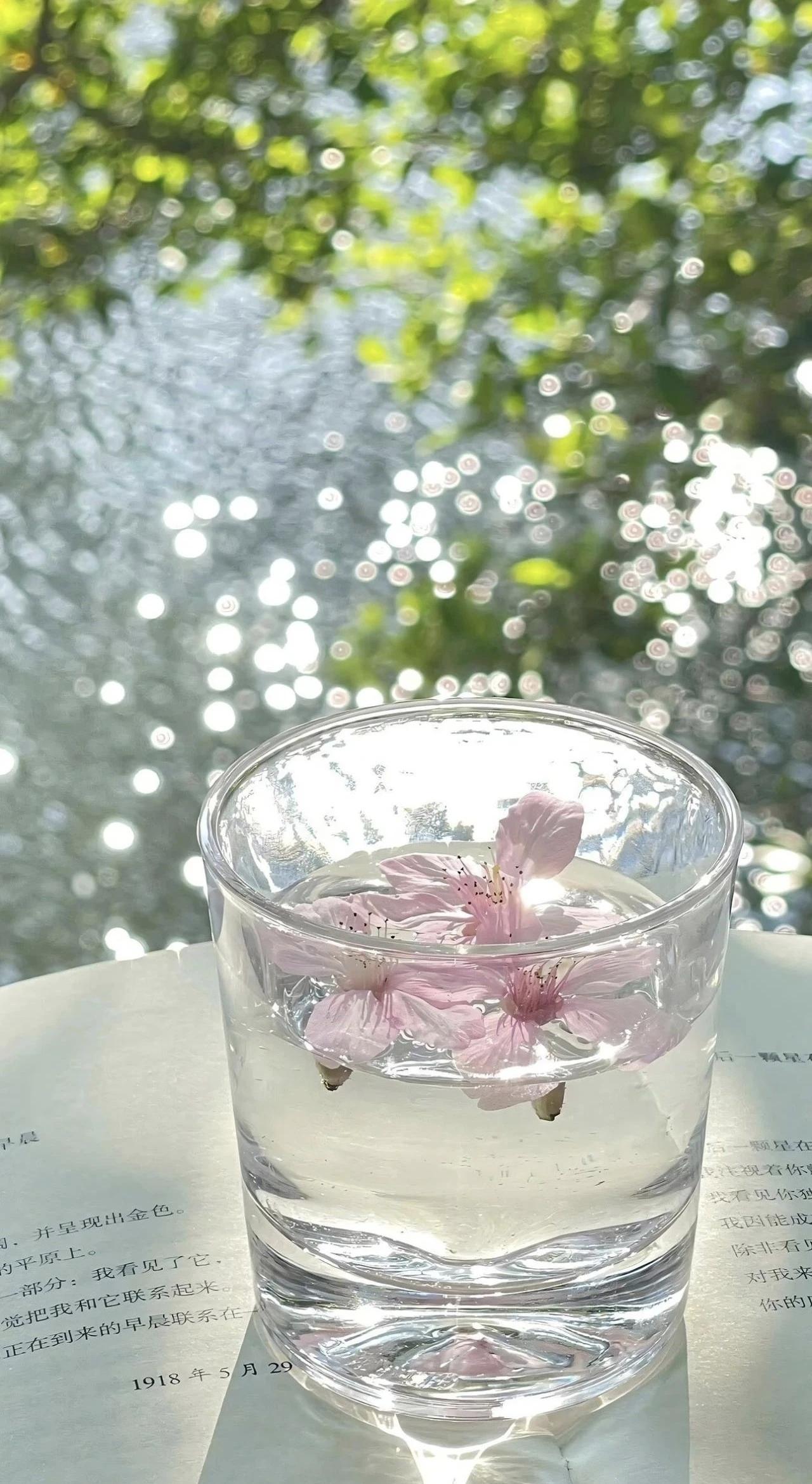 人在焦虑的时候，容易产生挫败感，觉得自己什么都做不好，渐渐对生活失去了信心。这时