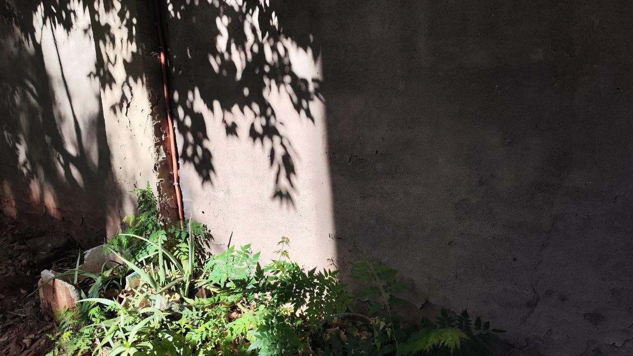 晒图笔记大赛光影之美分享自然风景照片
