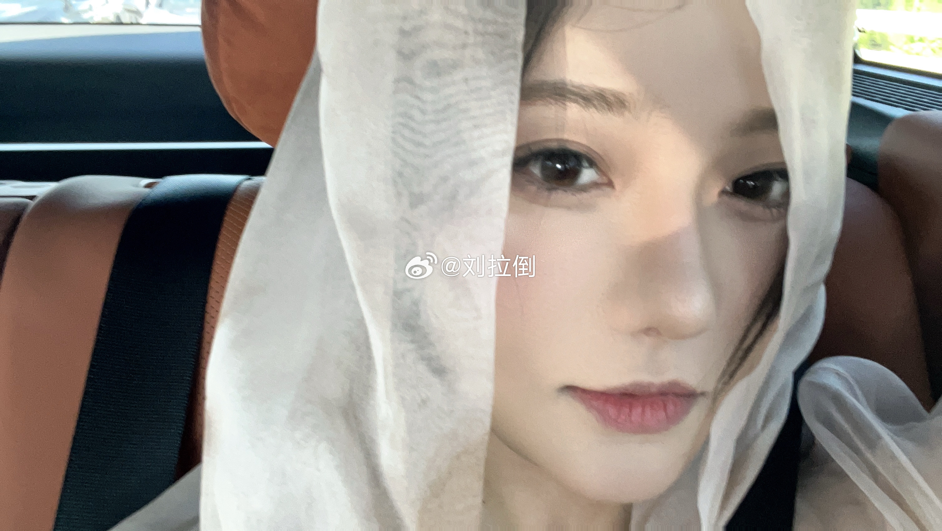 浓雾不错 天津