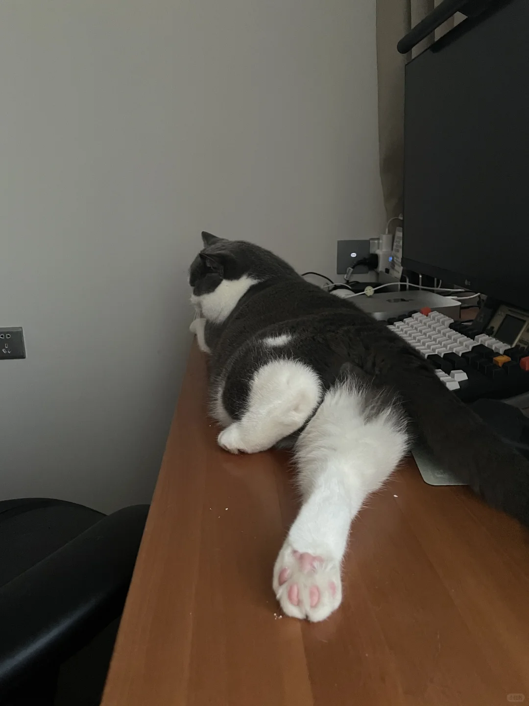 谁敢闻
