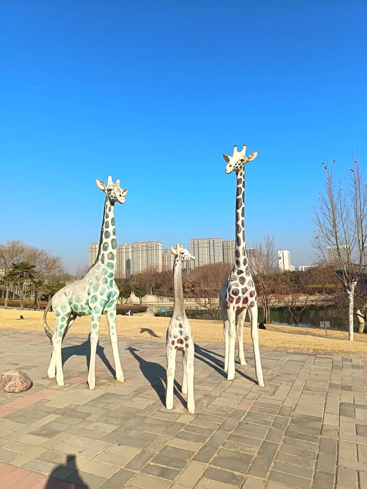 天湛蓝，阳光很暖，是有点萧瑟。保洁大爷告诉我，这里春天夏天比较好玩。

但冬天也