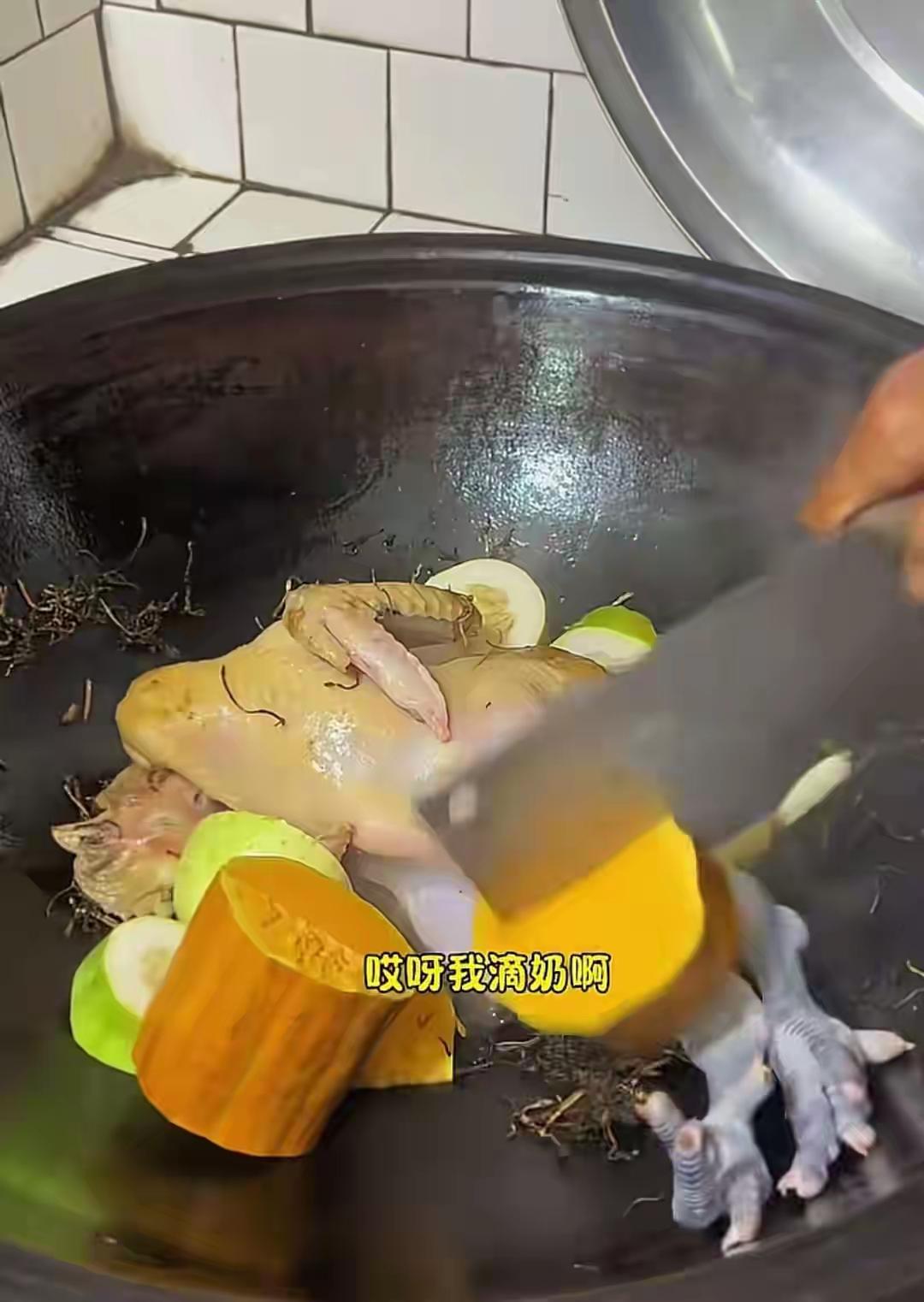 2026年3月12日，93岁百万粉丝网红毛奶奶的家人发布讣告，称老人已于6日前在