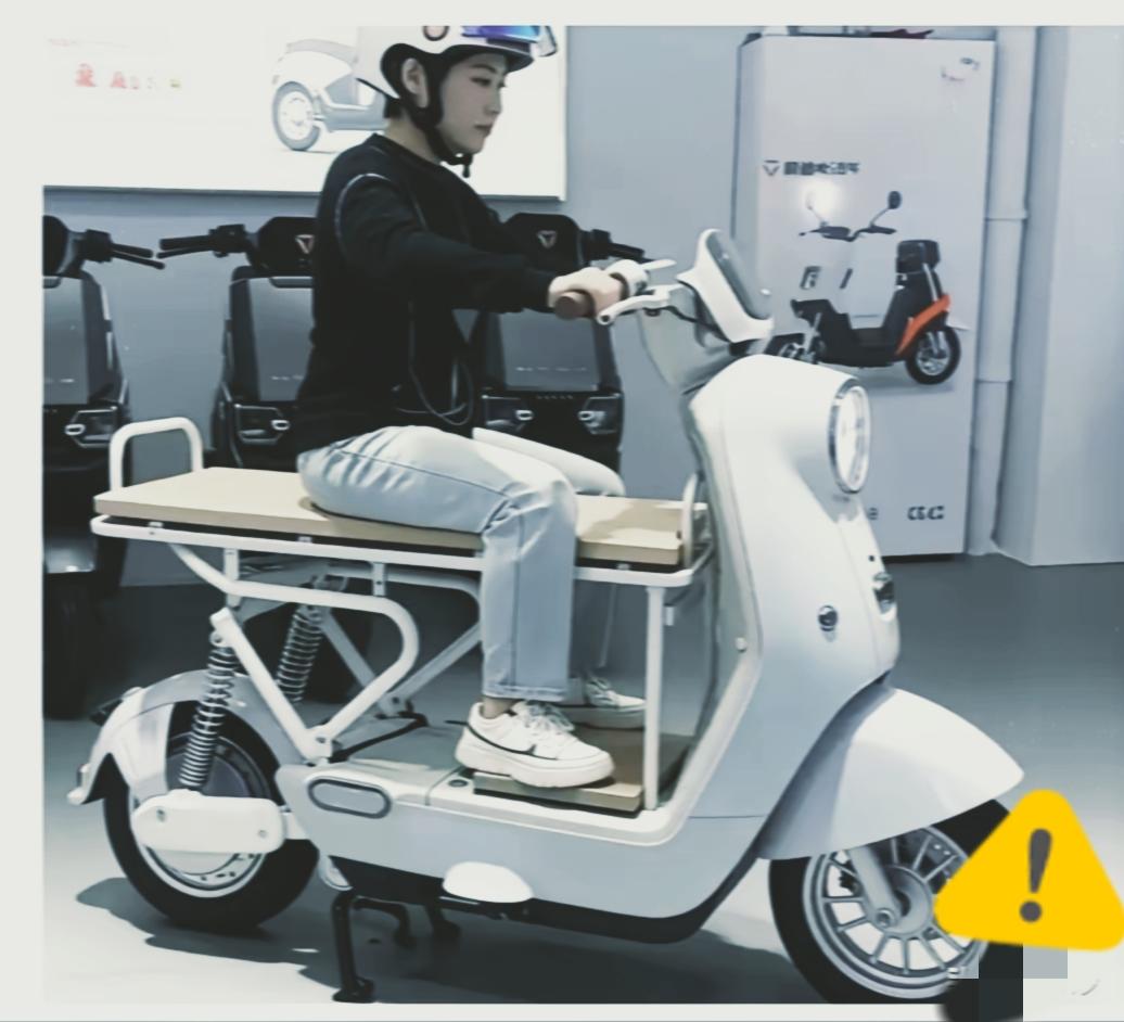 新国标电动车刚落地，网友的“带娃改装”就刷屏了，看着热闹却藏着大隐患！
 
很多