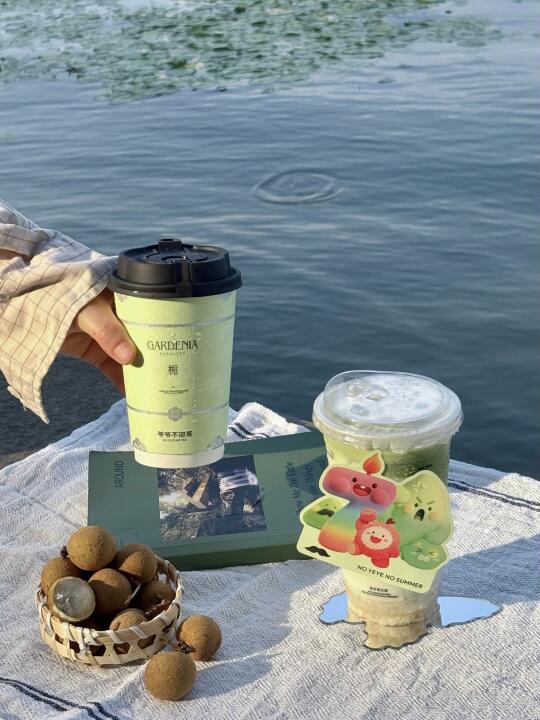 那么就一头扎进盛夏的绿意里🍃