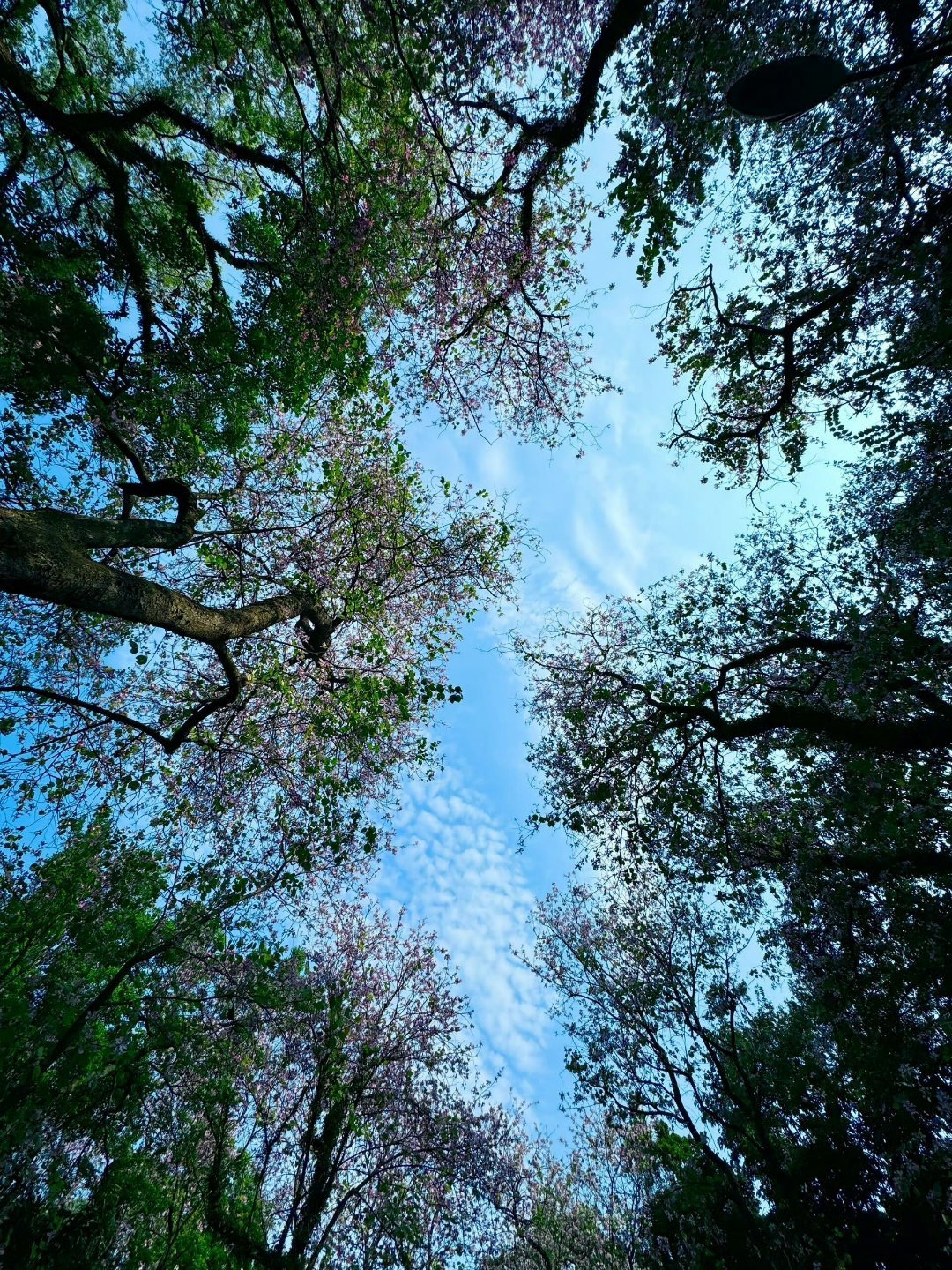 世界上什么都不公平，唯独时间最公平，你是懒惰还是努力，时间都会给出结果。哥哥晚上