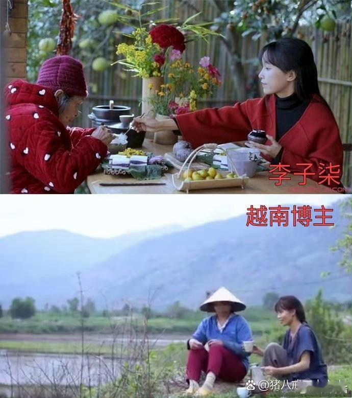 越南模仿李子柒的博主也停更了三年 