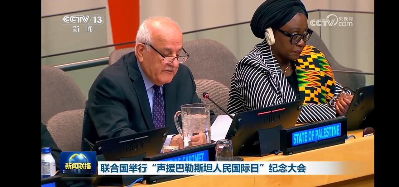 联合国纪念巴勒斯坦人民国际日，国际社会团结一心！