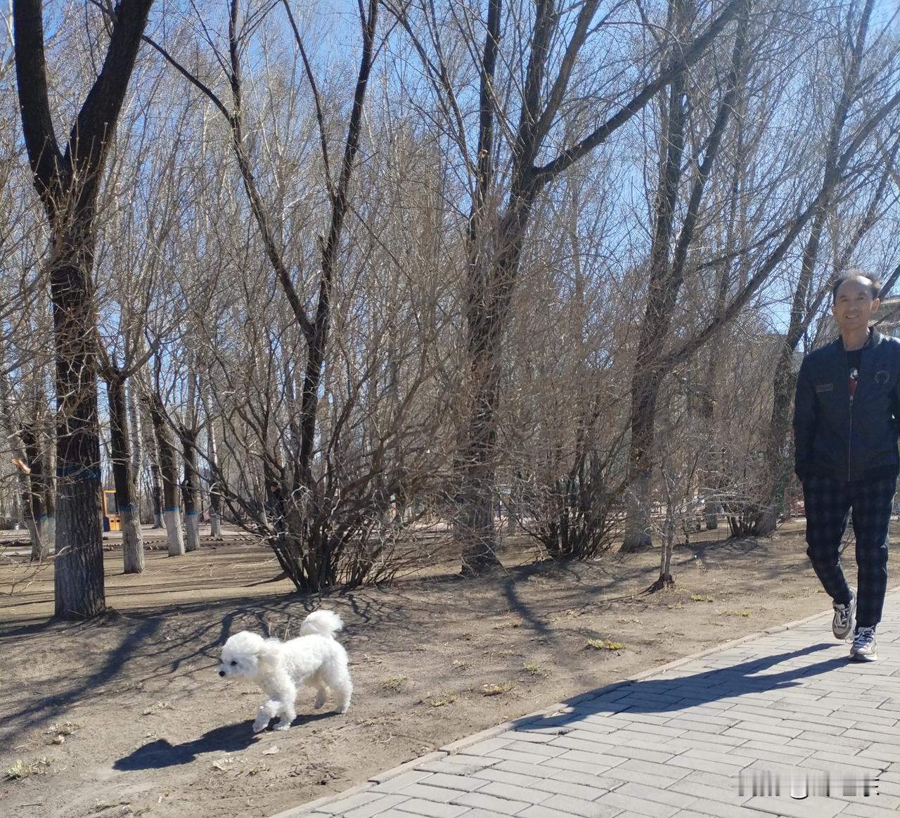 这里是黑龙江省肇东市南湖公园长堤一侧。
   阳光明媚，天气转暖。散步的人们络绎