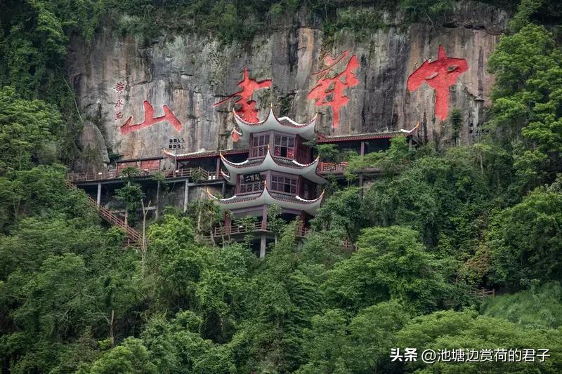 “才高八斗”这上联一出，瞬间就有了文化的韵味。我觉得下联“学富五车”挺合适。“才