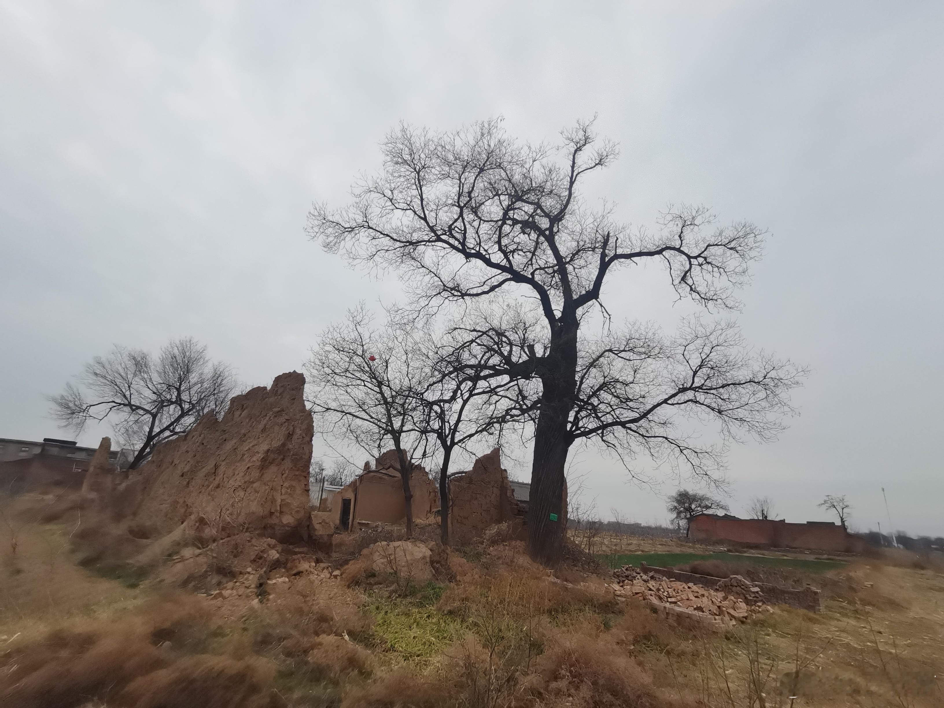 回乡见闻回乡见闻回了一次娘家，我媳妇路上哭的稀里哗啦，觉得被娘家人看不起，没车，