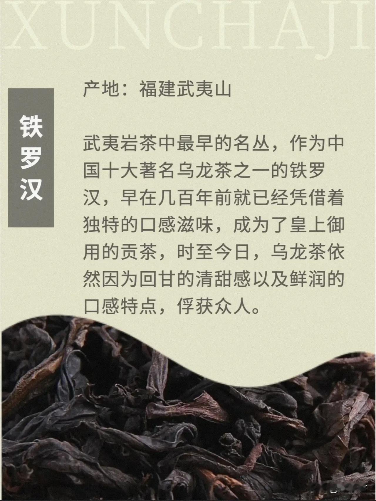一提到乌龙茶，大家脑海里可能出现的是各种奶茶店的乌龙奶盖，但是其实乌龙茶真的是宝