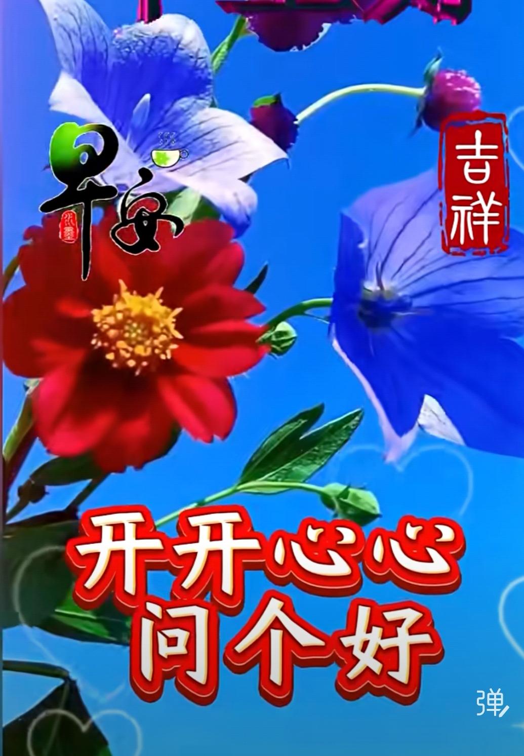 生活很平淡，
開心就燦爛，
友情不能散，
問候送溫暖，
心中有牽掛，
清晨報平安