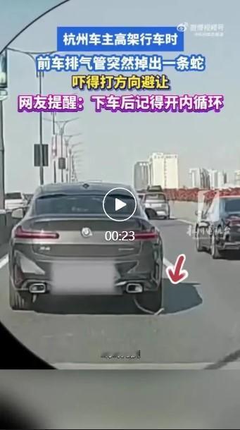 近日，杭州高架上演惊险一幕。一名车主正常行车时，亲眼看见前方车辆右侧排气管钻出一
