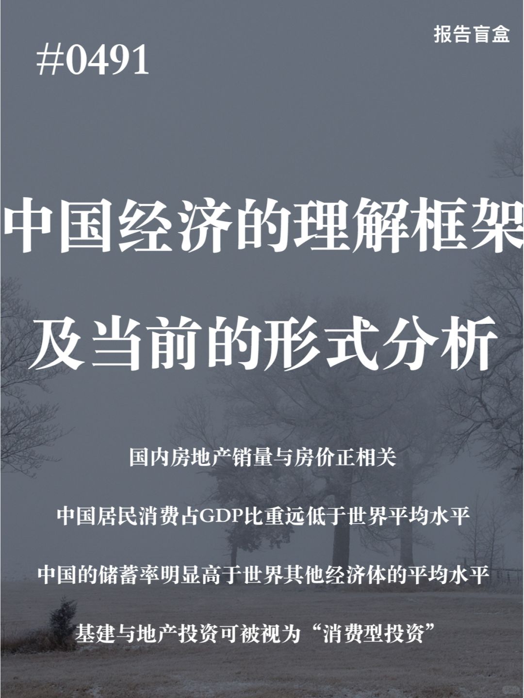 0491 | 中国经济的理解框架及当前形势