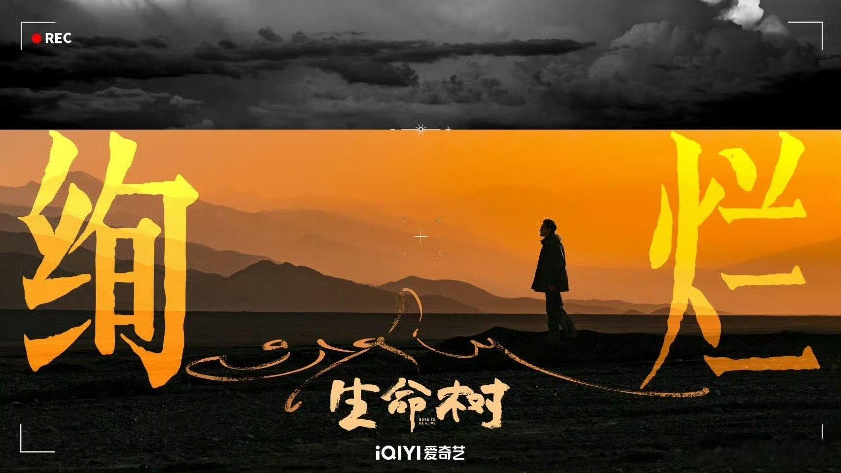 生命树获白玉兰6项提名 优质作品从不会被埋没，多项提名加持，再一次证明剧集的出众
