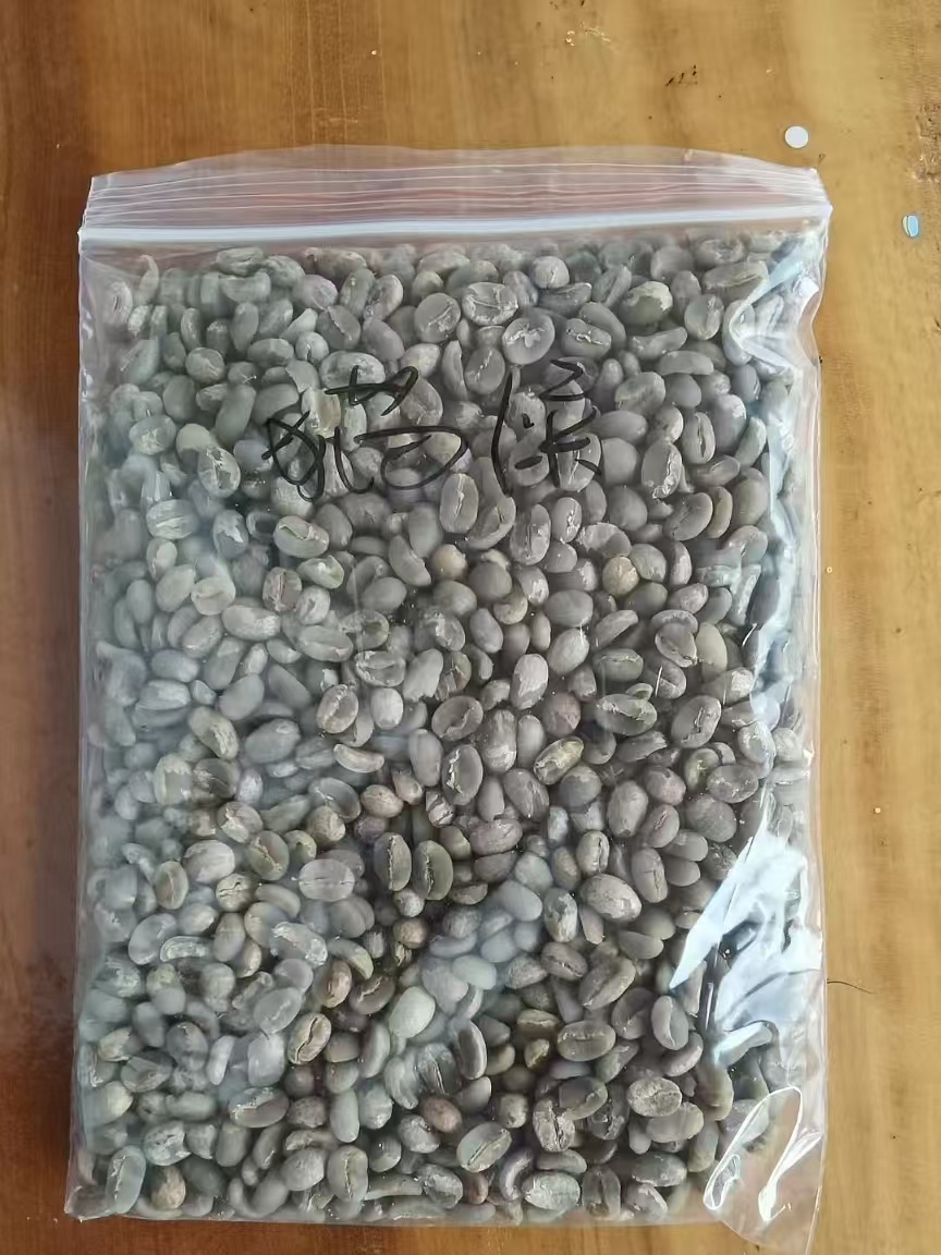 才知道真正的猫屎咖啡，数量超级少。拥有50亩咖啡园的小老板说，他会在园里到处找偷