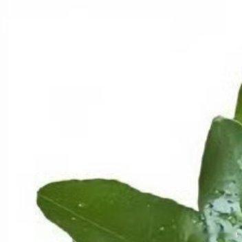 阳光信用[超话]每日一善 1200保持阳光心态，积极面对人生。每个人，都沿着不同