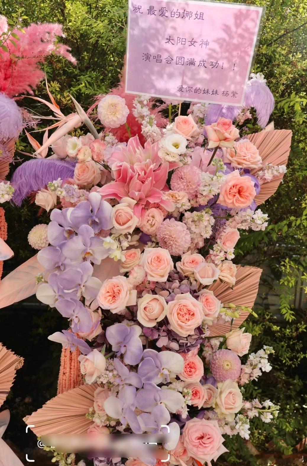 好多人给谢娜送花篮谢娜个人演唱会现场直接被花海包围啦✨ 圈内一众好友纷纷送上应援