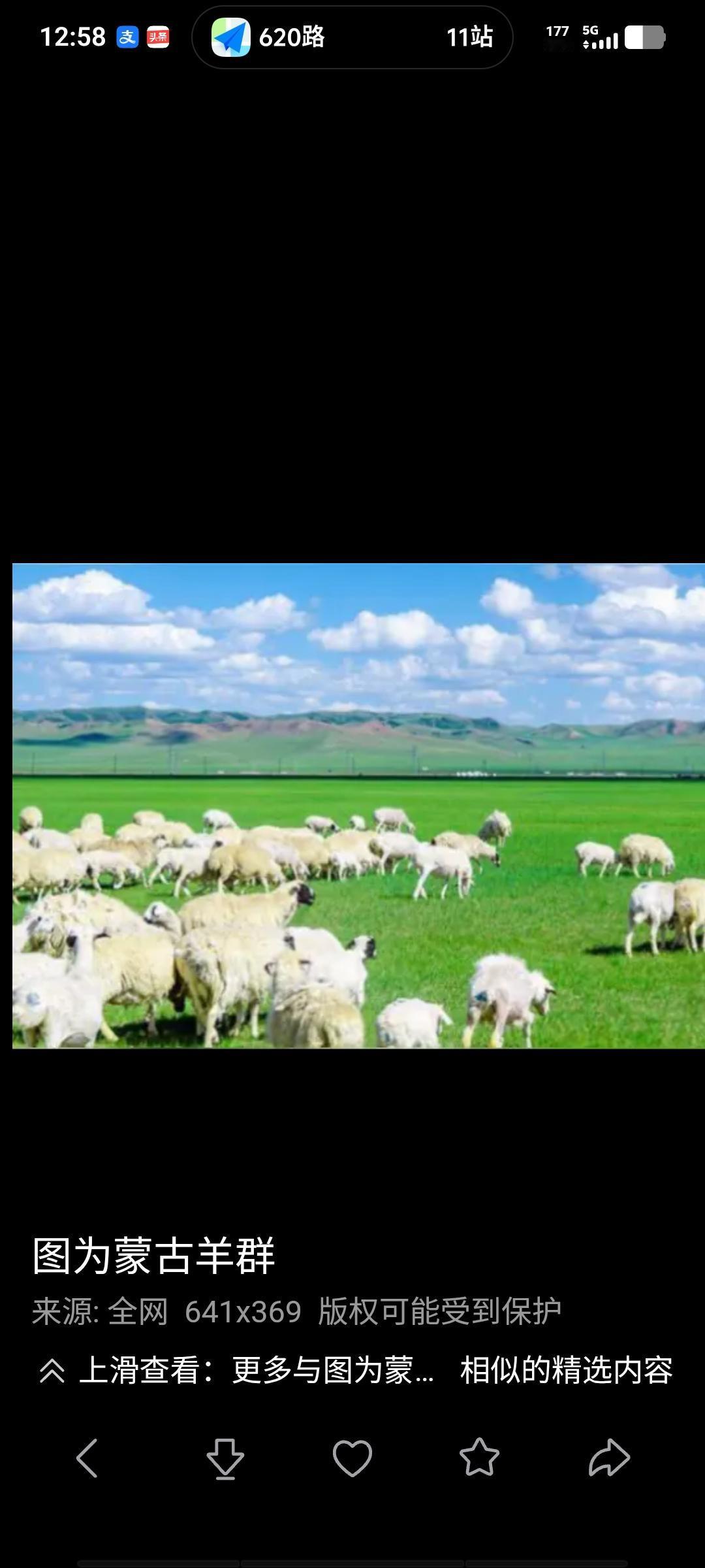 看到内蒙古锡林浩特牧区公开招聘放羊工，月薪一万六，需管理3000只羊，要求工作满