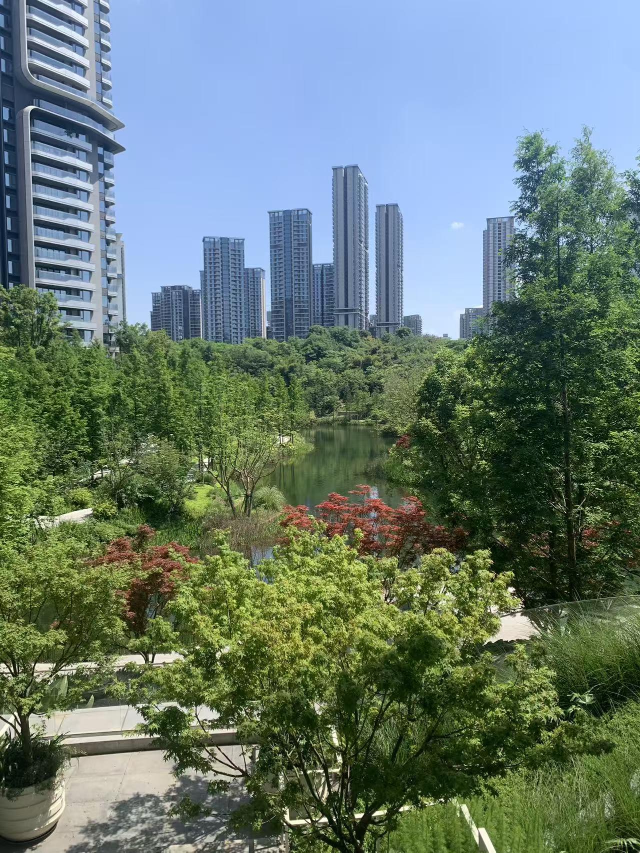 成都随手拍
        图文：于买
昨天五四青年节，儿子儿媳开车沿市中轴线走