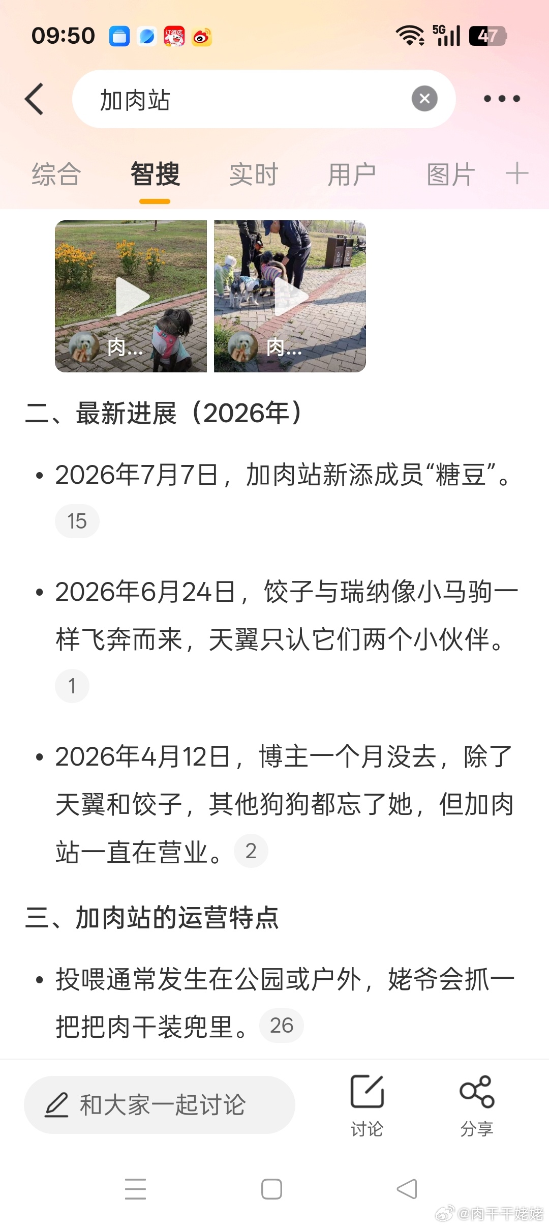 AI对加肉站的总结 