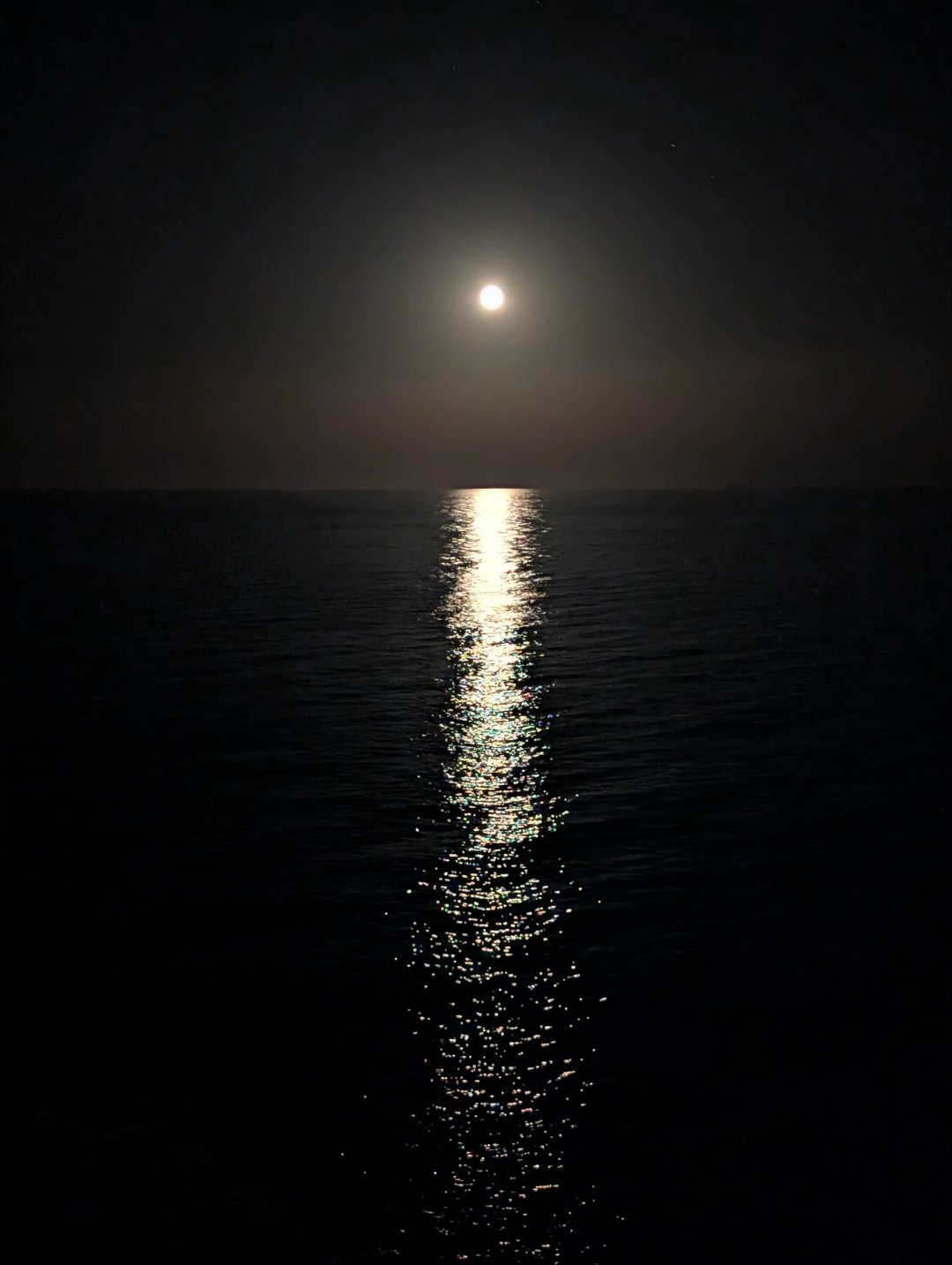 晚安马略卡地中海的满月送给你们马略卡岛西班牙旅行 西班牙·JS开普科隆成人酒店(