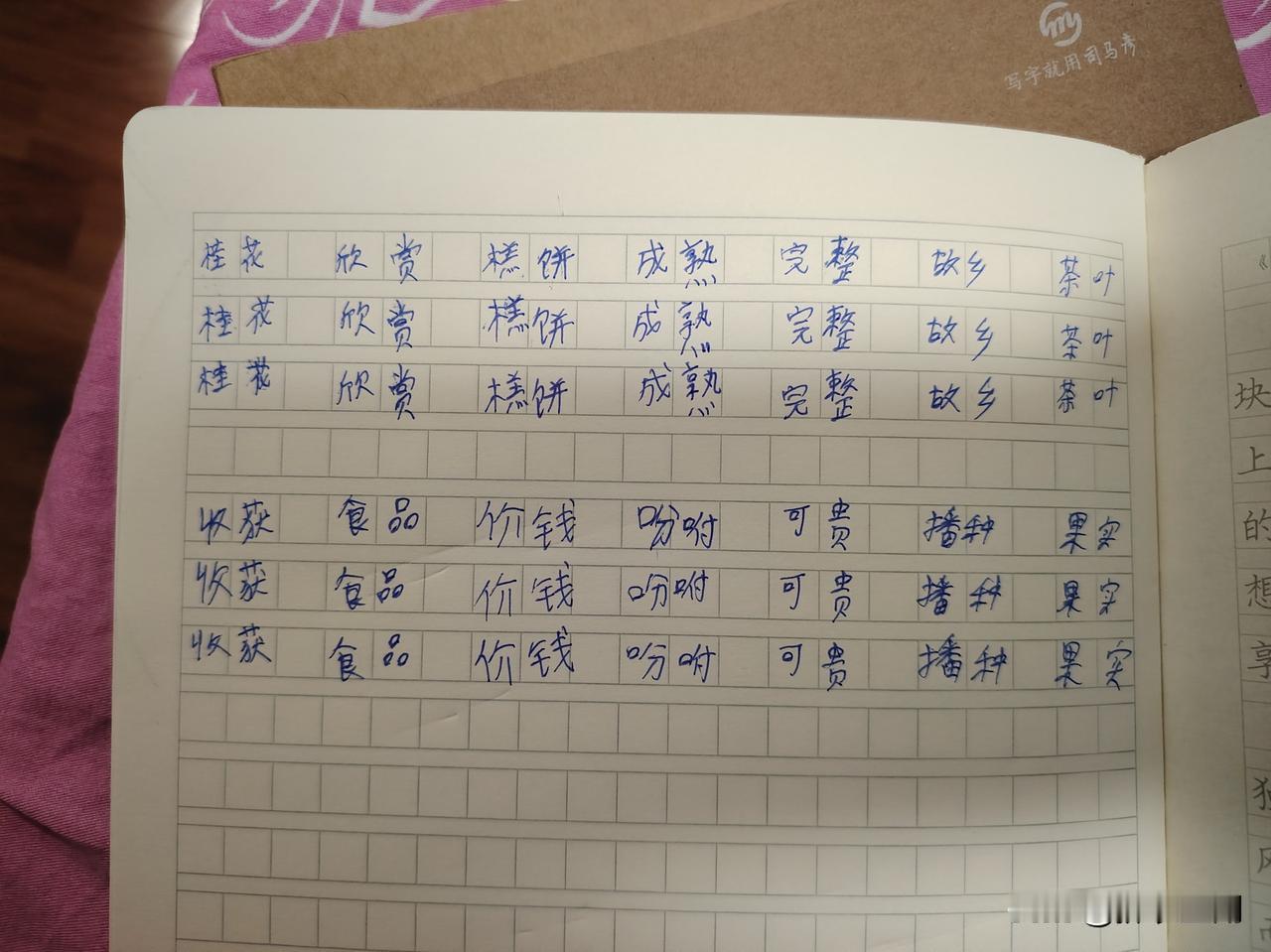 当你发现，两个半小时里，儿子就写了这点作业！字写的像画符，错字还不少！
前面周三