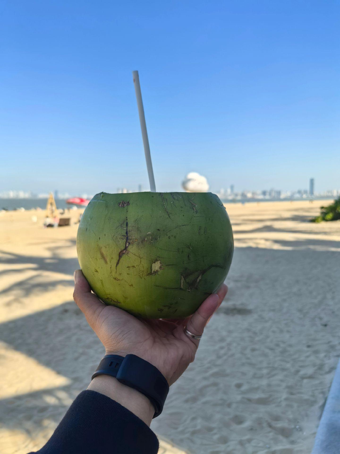 椰城一游！风景美如画！！！
