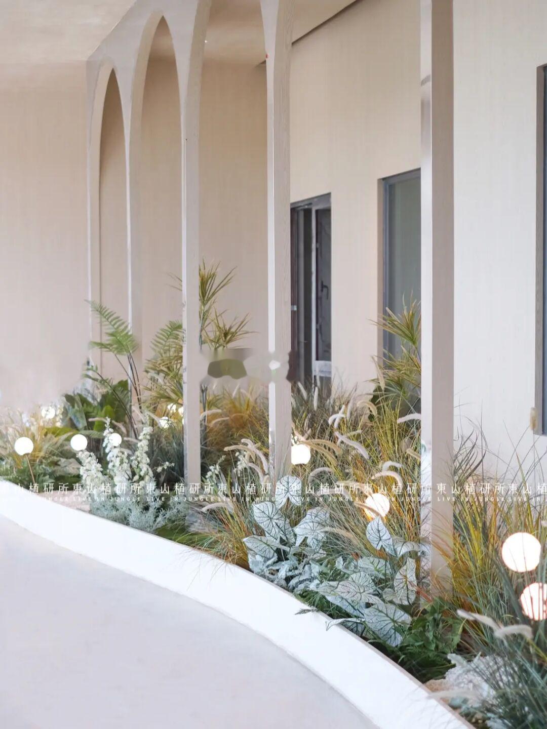 仿真觀賞草🌾藝術長廊造景
