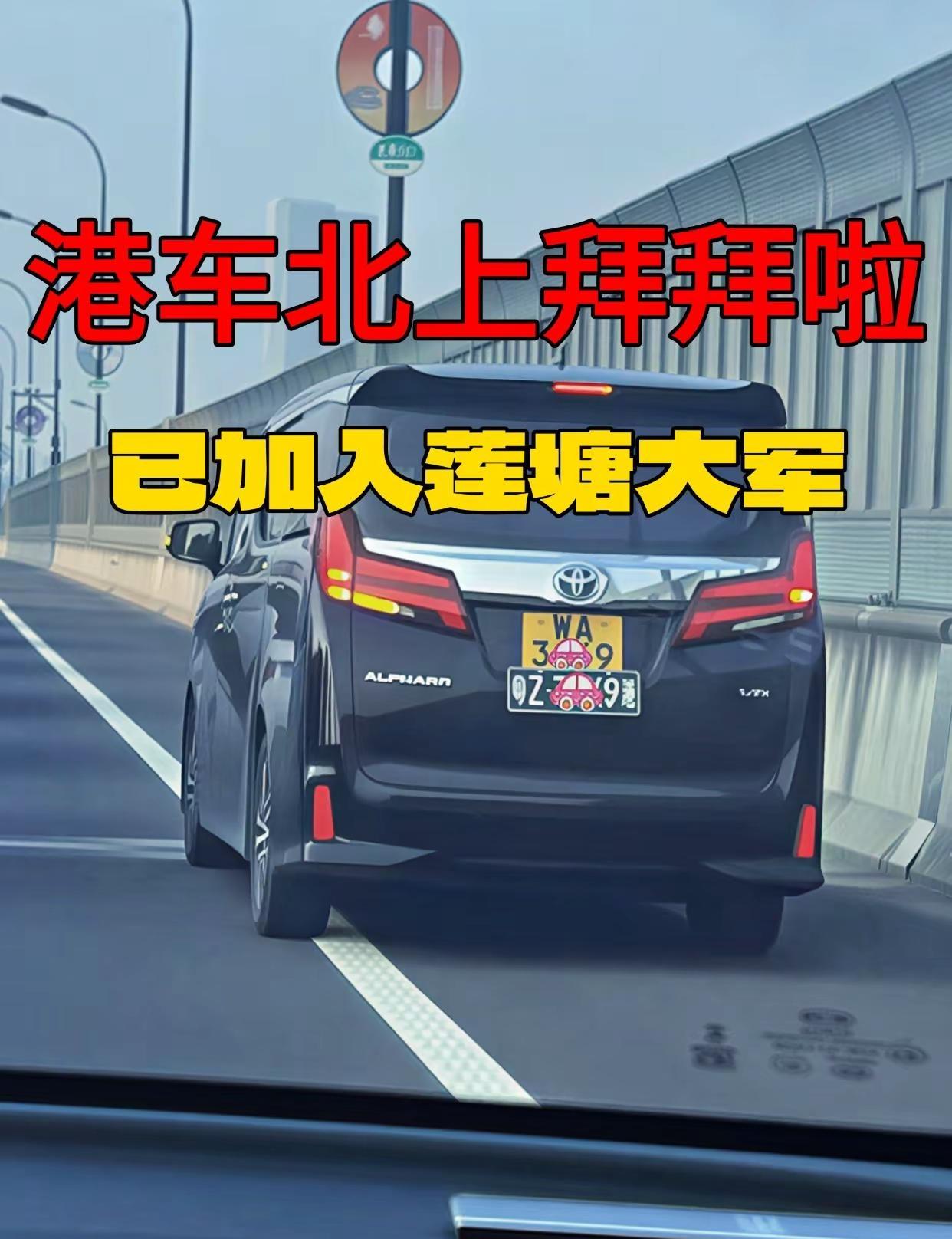 粤Z北上365天~不限行丫。粤港两地牌 深港通行 深港跨境 粤Z 北上  港车北