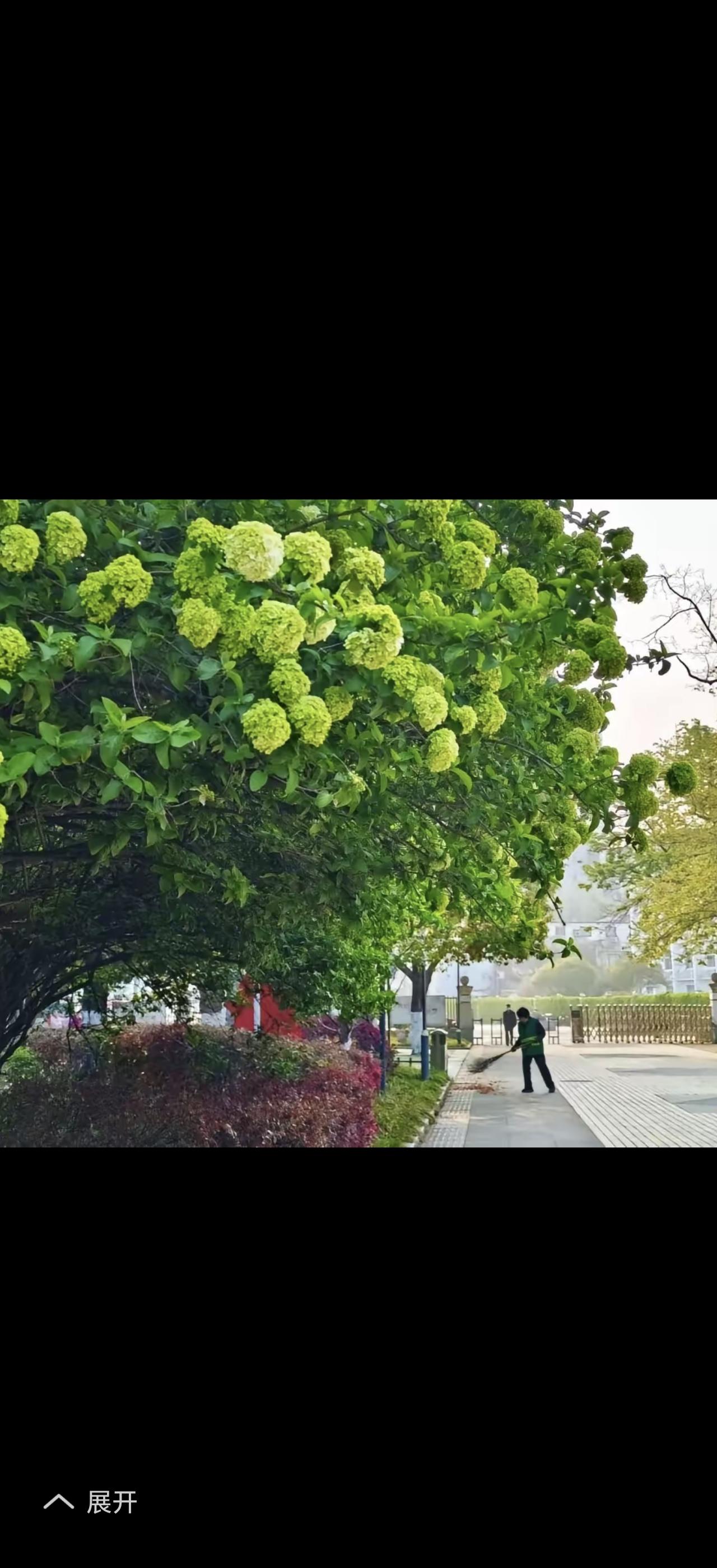 四月天紫气东来