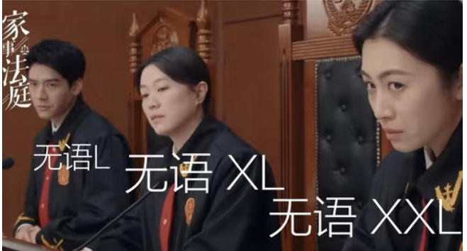 家事庭法官的日常状态：家事法庭家事法庭网红抢孩子