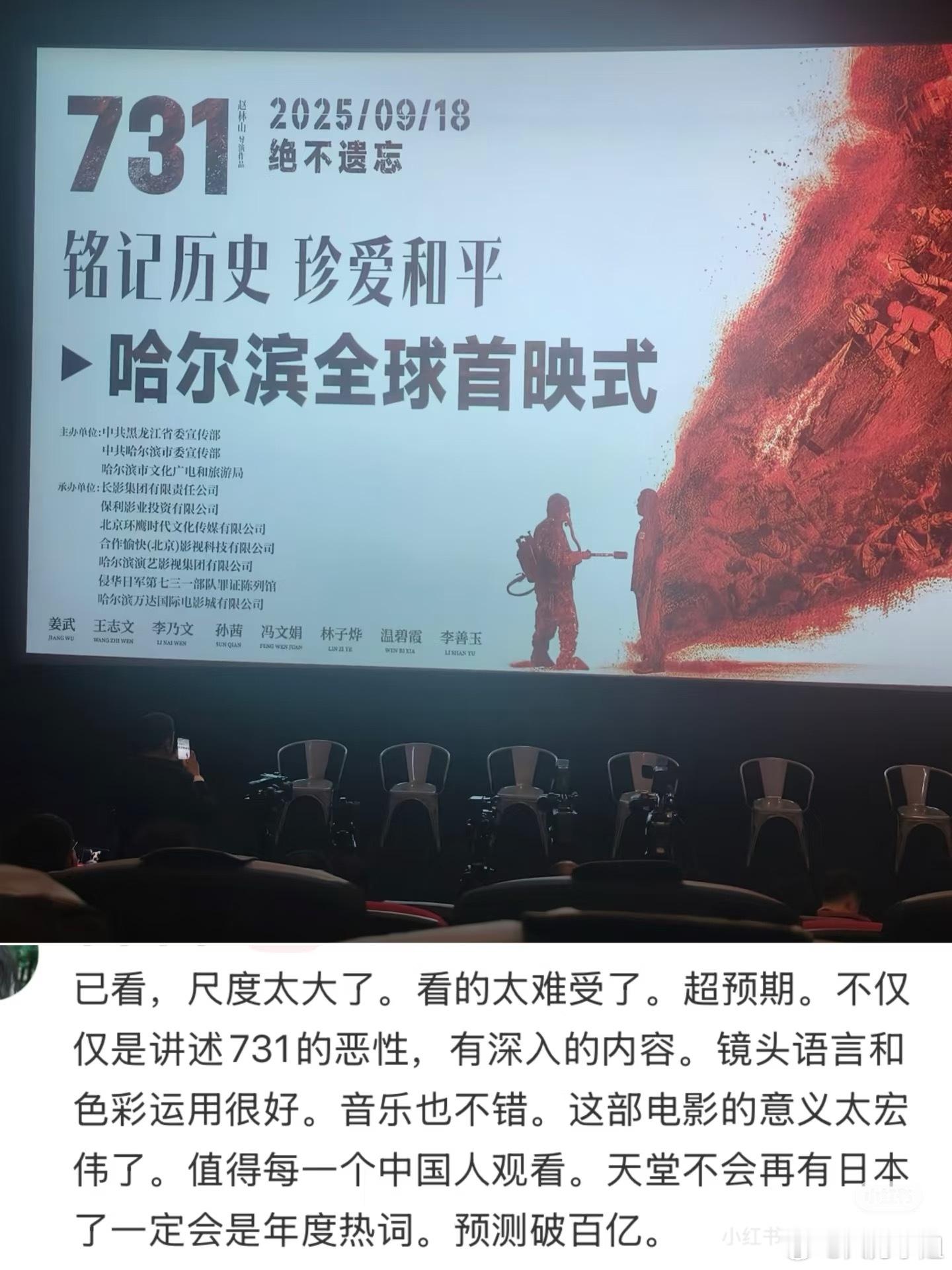 731怎么说呢？面对这些褒贬不一的评价不如自己去看去感受题材本身就不能用好看与否
