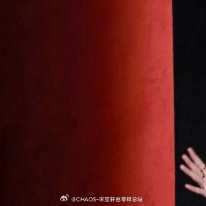 宋亚轩  阳光信用 弘扬爱国主义精神，必须坚持立足民族又面向世界。中国的命运与世