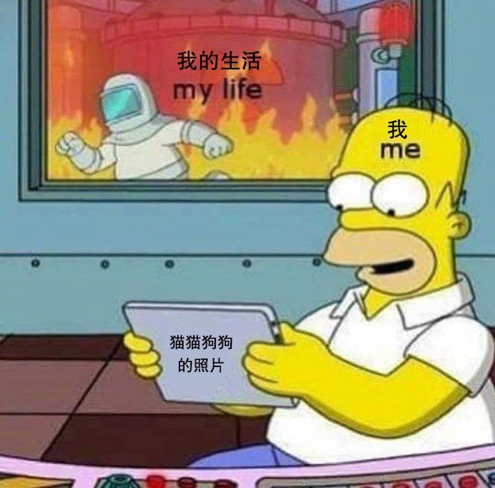 正确的中肯的 ​​​