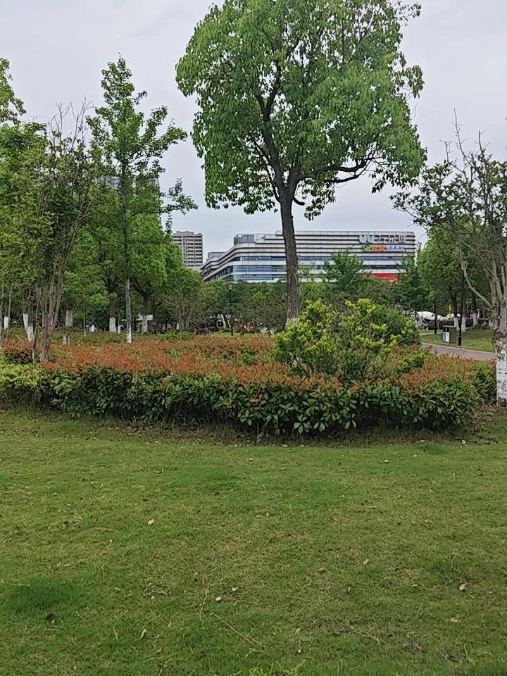 彻底颠覆认知！最高级的养生，就4个字：把自己当回事！
 
听我一句真心话！
你之
