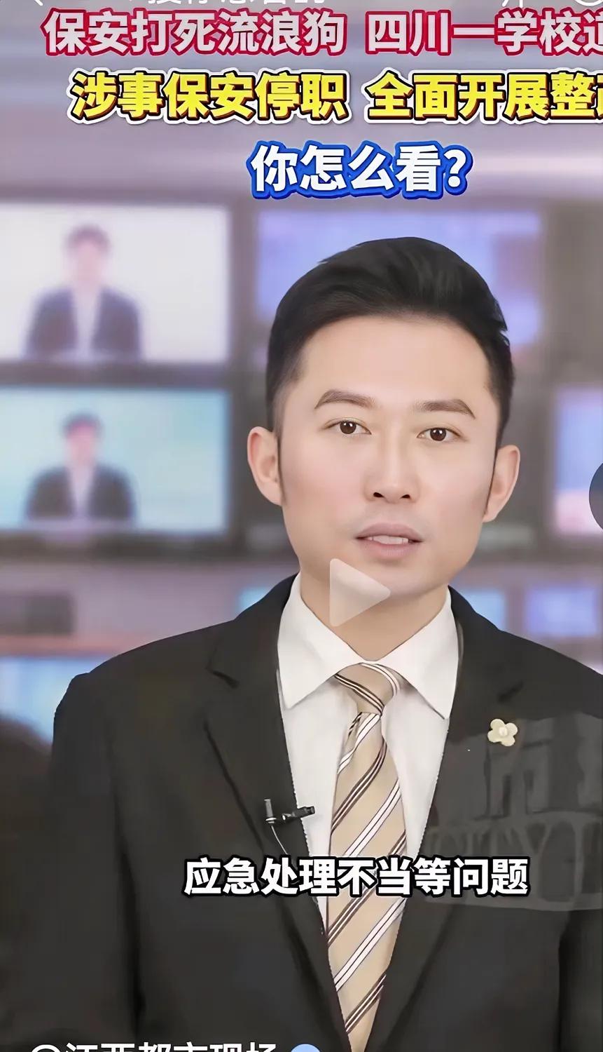 道什么歉？为什么要道歉？
流浪狗咬了人，爱狗人士一个个和死人一样，选择视而不见。