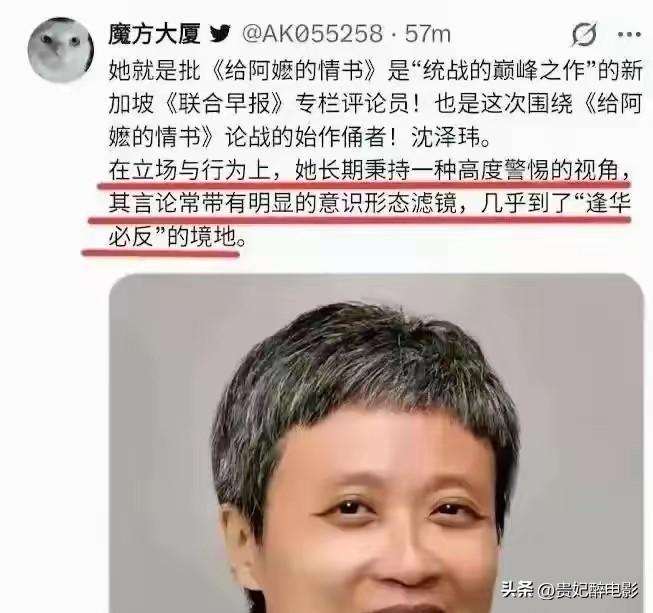新加坡联合早报首席记者沈泽玮，月薪八万块，专门写文章骂中国的统战宣传。她刚刚连发