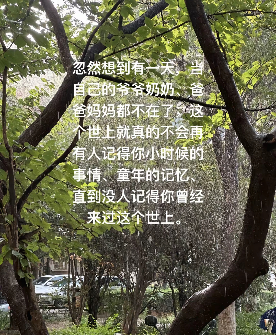 怪不得家里老人总是讲自己过去的事情，光是看文字都感觉到痛了… ​​​