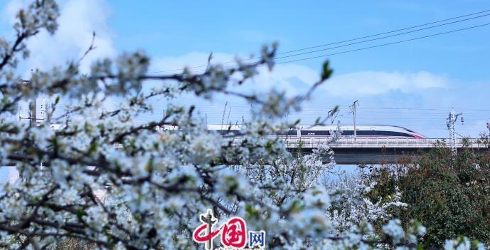 【钢铁丝路铸就黄金通道 续写中老发展新篇章】今年是中老两国建交65周年，中老铁路