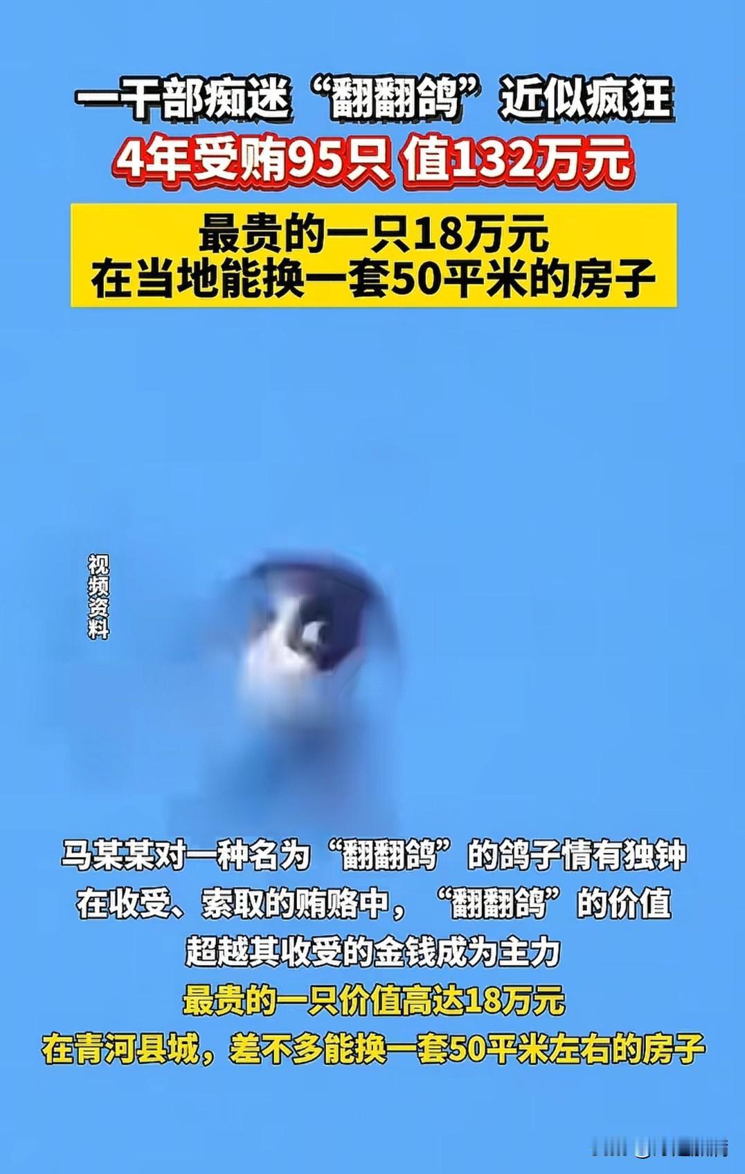 要不是这名干部受贿，我都不知道什么叫“翻翻鸽”，这也太小众了，谁能猜到啊，网友的
