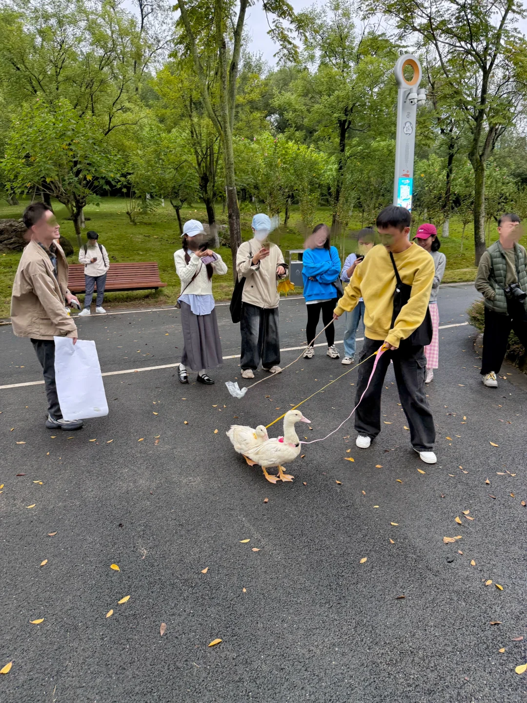 谁能解释成都这种现象？？？？？？